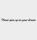 Never give up on your dream