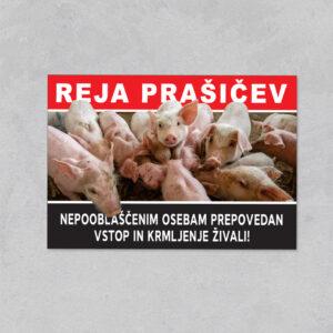 REJA PRAŠIČEV (nalepka ali tabla)